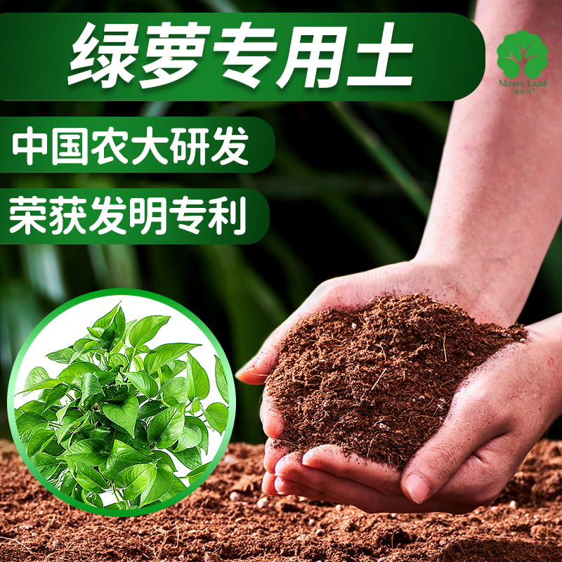 漫生活绿萝专用营养土盆栽植物养花通