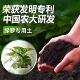 漫生活绿萝专用营养土盆栽植物养花通用型花土壤专用扦插基质肥土