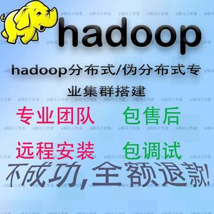 远程hadoop搭建Hive安装kylin/HBase/flink/Spark伪/完全分布集群