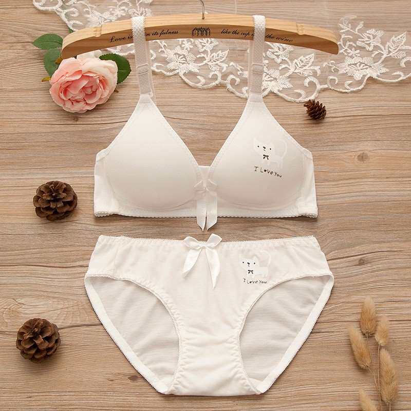 初中生 韩版_少女文胸18岁高中学生19大学女生内衣裤套装20女孩无钢圈