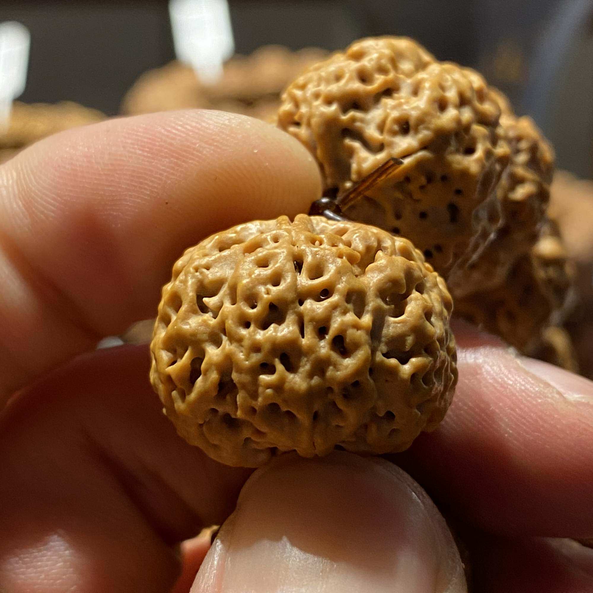 尼泊尔瓣姜黄皮矮桩老树五星蜂王针孔蜂窝大金刚菩提子手串