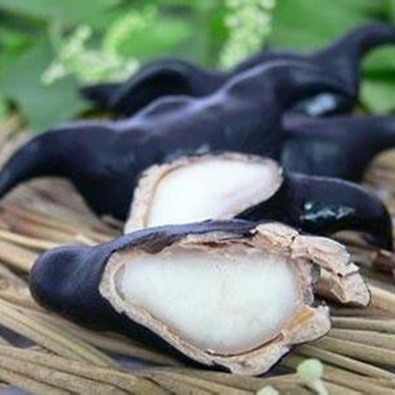 菱角熟的即食菱角新鲜5斤灵角南湖包邮牛角菱水栗子包邮非熟的