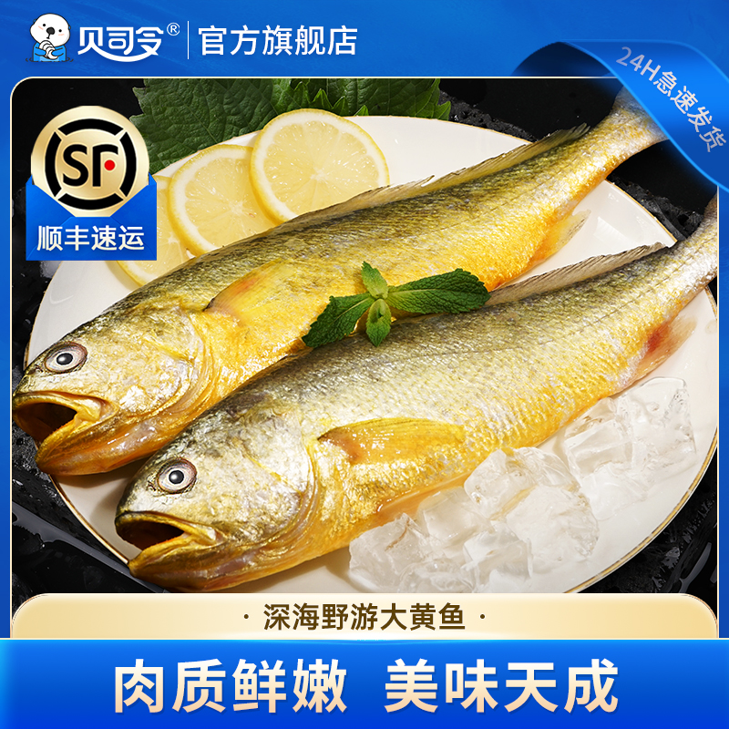 贝司令大黄花鱼新鲜冷冻生鲜水产冰鲜深海捕捞黄鱼鲞鱼类海鱼商用