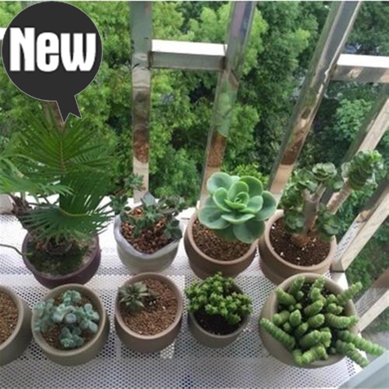 家用塑料网格阳台围栏防o护装饰网花架垫板网育雏养蜂网加厚|msdalam kategori pinggan mangkuk, Flagon/Wineglass/Wine, rumah bekas anggur - dari Buy2taobao.com untuk memberikan perkhidmatan ejen Taobao profesional membeli