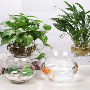 创意水族箱生态圆形花边形玻璃金鱼缸乌龟缸迷你小型造景水培花瓶