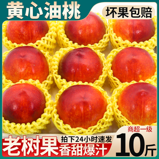 山东黄心油桃10斤大果新鲜水果当季整箱孕妇蜜脆甜水密桃子包邮