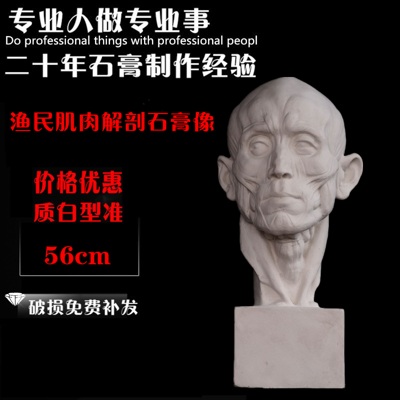 人物头像渔民切面素描石膏像解剖静物美术室配套器材