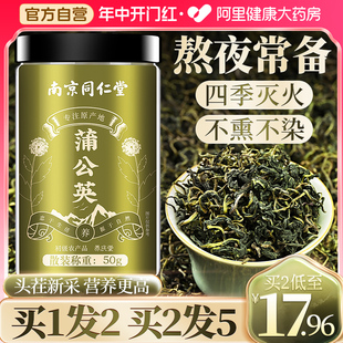 南京同仁堂蒲公英茶叶野生特级中材葯去火茶浦公英叶根官方旗舰店