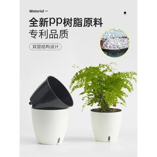 绿萝专用盆桌面白色简约塑料小号花盆水培植物器皿懒人自吸水储水