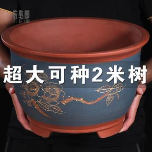 花盆2021新款特大号紫砂花盆高花盆高筒陶瓷花盆特价清仓处理大号