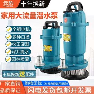 全铜芯小型潜水泵电动高扬程家农用抽水机灌溉神器单相220V4寸3