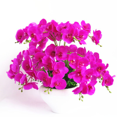 pu手感蝴蝶兰仿真花艺套装 假花干花客厅卧室餐桌家居装饰花|ruв категории Домашний быт, ваза/цветок/искусственные цветы/моделирование украшения, искусственные цветы/искусственные цветы - от Buy2taobao.com для оказания профессиональной услуги покупки агента Taobao