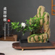 菖蒲米竹创意绿植吸水盆景盆栽假山微景观办公室桌面客厅摆件花卉