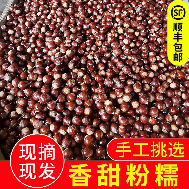 Chestnut fresh 2022 Chestnuts Jianou Chestnut jojoba Farm Wool chestnut Big fruit 5in the Aquatic meat/Fresh fruits and vegetables/Cooked , Fresh vegetables/Vegetable products , Fresh vegetables , Fresh Chestnut category - from Buy2taobao.com to provide professional Taobao agent buy service
