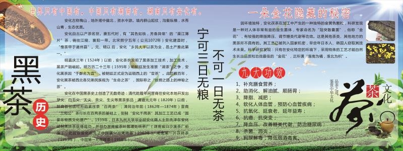 黑茶宁可三日无粮不可一日无茶挂图装饰画安什黑茶世界只有中国