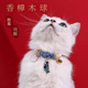 猫咪项圈狗狗脖圈猫铃铛香樟木宠物饰品长命锁项链围脖宠物用品