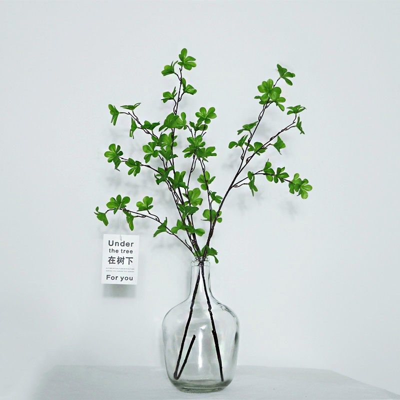 北欧简约小口大肚吊钟马醉木玻璃花瓶插花水培盆景瓶落地大容器