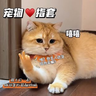 宠物小猫咪人爪子比耶小手指剪刀手套橡胶搞笑撸猫逗猫玩具神器