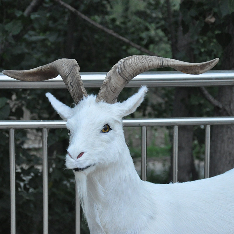 模型仿真真动物农场餐厅摆件游乐园摆件仿真山羊羊