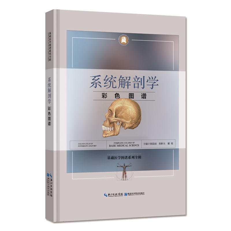 正版系统解剖学彩色图谱运动系统解剖图消化系统解剖图呼吸系统解剖图