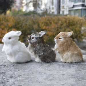 真兔子小的真兔动物图片