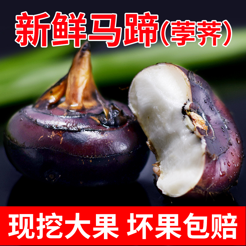 安徽1-3斤馬蹄新鮮馬蹄荸荠地栗地梨農家水果蔬菜紅馬蹄果現貨5斤在類目 水產肉類/新鮮蔬果/熟食, 新鮮蔬菜/蔬菜製品, 新鮮蔬菜, 荸荠/馬蹄中 - 來自Buy2taobao.com提供專業的淘寶代購服務
