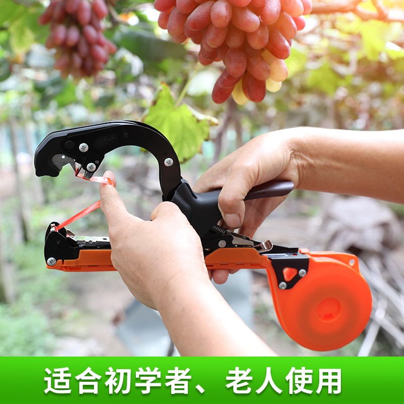 new pattern new pattern Tomatoes cucumber grape Tied to sticks machine tomato Bundling machine staplerin the Flower delivery/Flowers simulation/Plants gardening , Gardening supplies , Other Garden Supplies category - from Buy2taobao.com to provide professional Taobao agent buy service