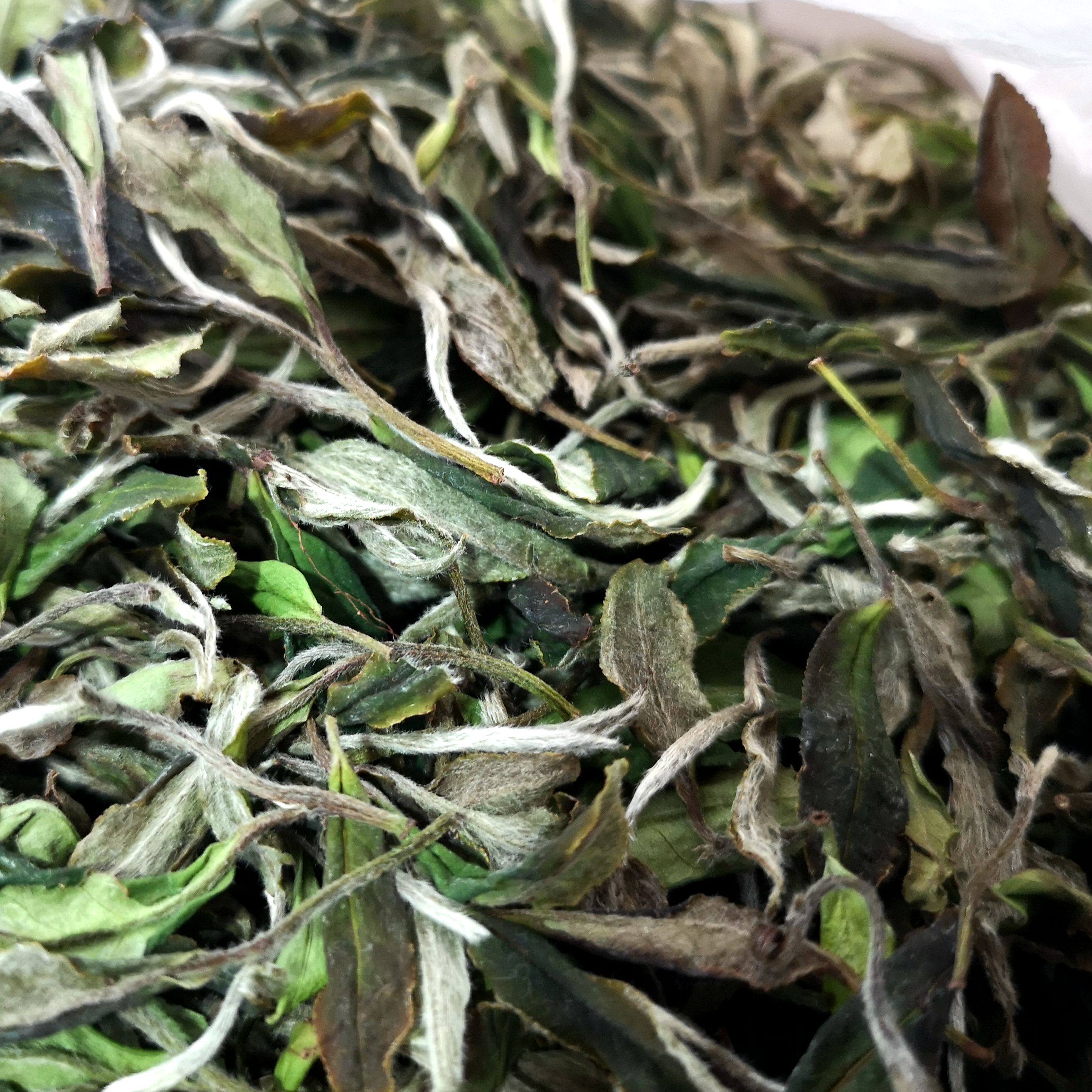 馥益堂福鼎白茶特级贡眉2020春茶新茶高山茶250g白茶茶叶
