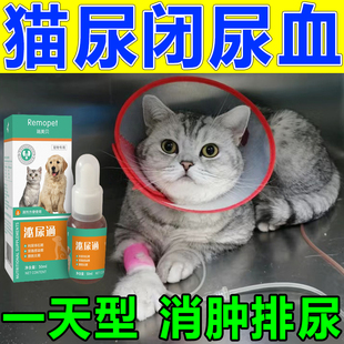 猫咪泌尿系统药尿频尿血尿路感染膀胱炎公猫尿结石猫咪消炎利尿通