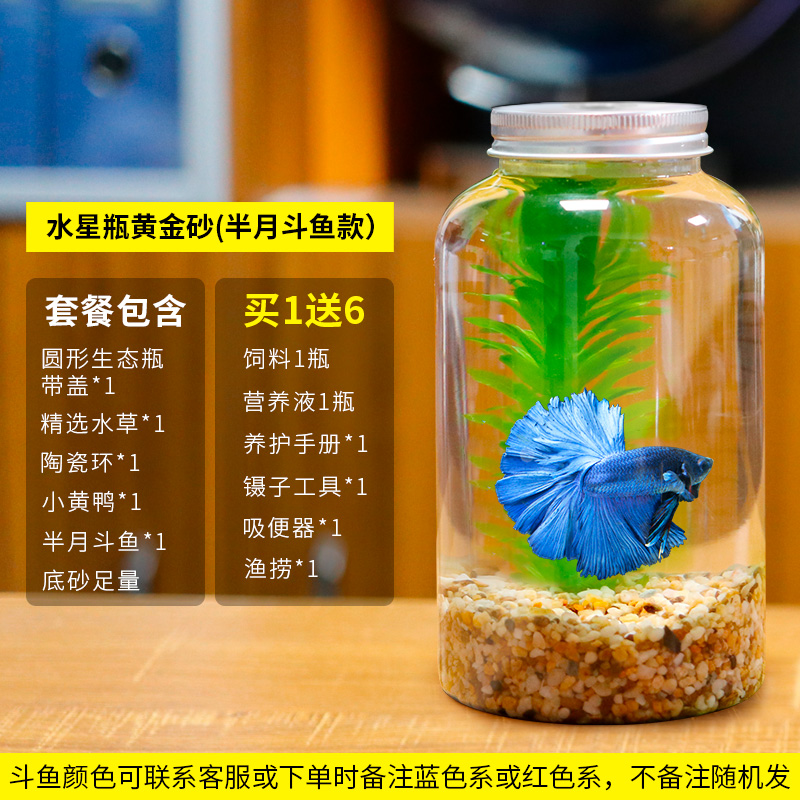 创意水族箱微景观生态瓶造景斗鱼缸办公桌面生态缸DIY造景鱼缸