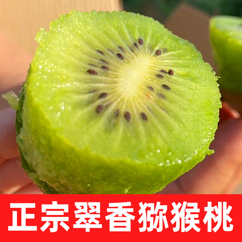 Shaanxi Zhouzhi Green Heart Kiwi Season fresh fruit Kiwifruit 5 Kiwi Full container wholesalein the Aquatic meat/Fresh fruits and vegetables/Cooked , Fresh fruit , Kiwi/Kiwi category - from Buy2taobao.com to provide professional Taobao agent buy service
