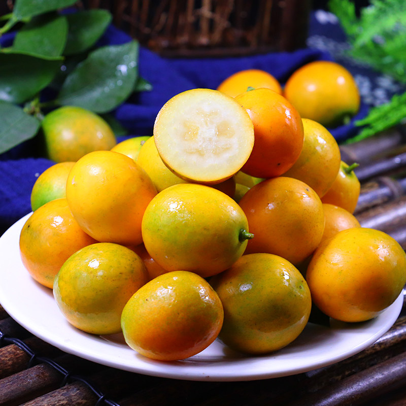 脆皮金桔新鲜小金桔子广西桔子桂林正宗脆皮金橘融安滑皮金桔5斤