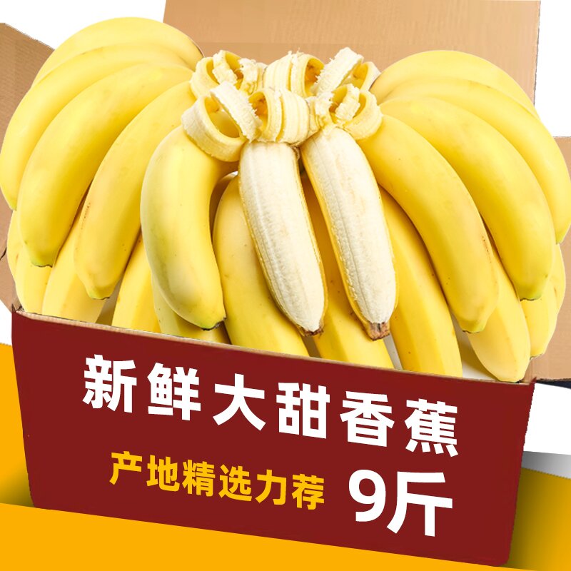 现摘高山香蕉9斤新鲜水果当季现摘大