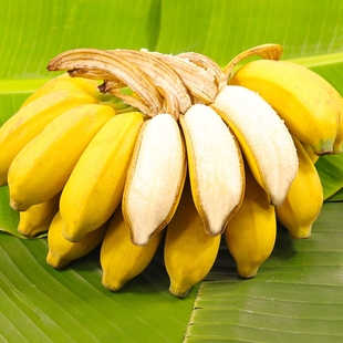 2024现摘广西小米蕉当季新鲜水果整箱自然熟banana苹果蕉香蕉粉蕉