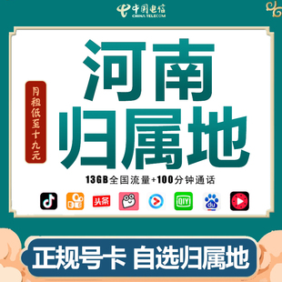 河南郑州开封洛阳手机电话纯流量卡无线电信4G5G上网卡0月租通用Q