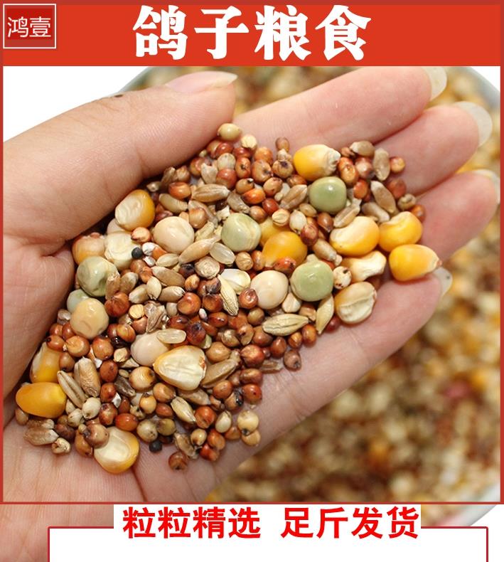 鴿子糧食50斤包郵20斤飼料料糧鴿糧無玉米鴿梁飼料營養信鴿在類目 寵物/寵物食品及用品, 鳥類及用品, 鳥中 - 來自Buy2taobao.com提供專業的淘寶代購服務