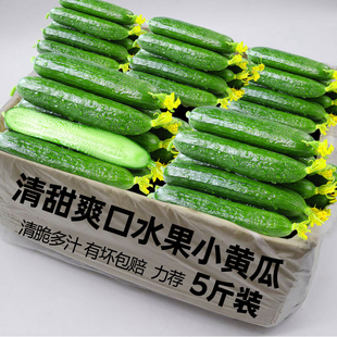 水果小黄瓜新鲜应当季5斤小黄瓜青瓜时令蔬菜旱生吃即食整箱包邮1