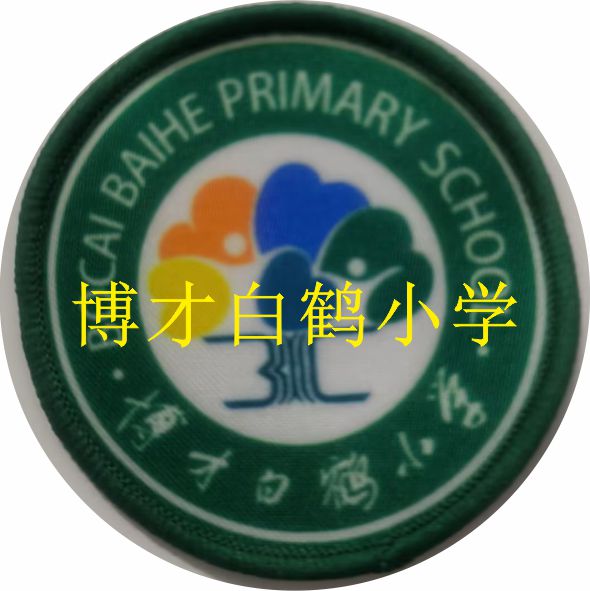 湖南校徽定制长沙株洲湘潭衡邵岳益阳常德郴州附属实验大中小学校