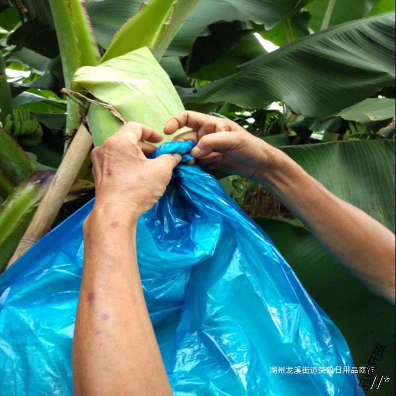 厂家直销香蕉套袋蓝色有孔无孔定型防虫袋防寒连体袋一体袋蕉