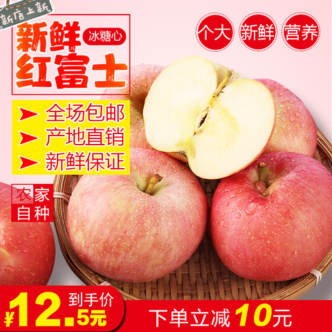 果巷子 红富士苹果 红苹果 新鲜水果 河北苹果 5斤10斤包邮 现发