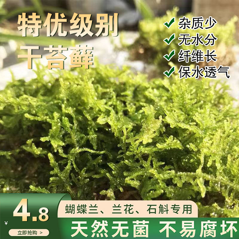 水苔蝴蝶兰专用天然干苔藓青苔优质兰花石斛营养土乌龟冬眠垫材