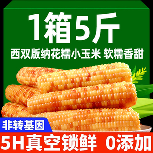 云南西双版纳香糯小玉米5斤新鲜花糯甜糯玉米棒真空开袋即食早餐