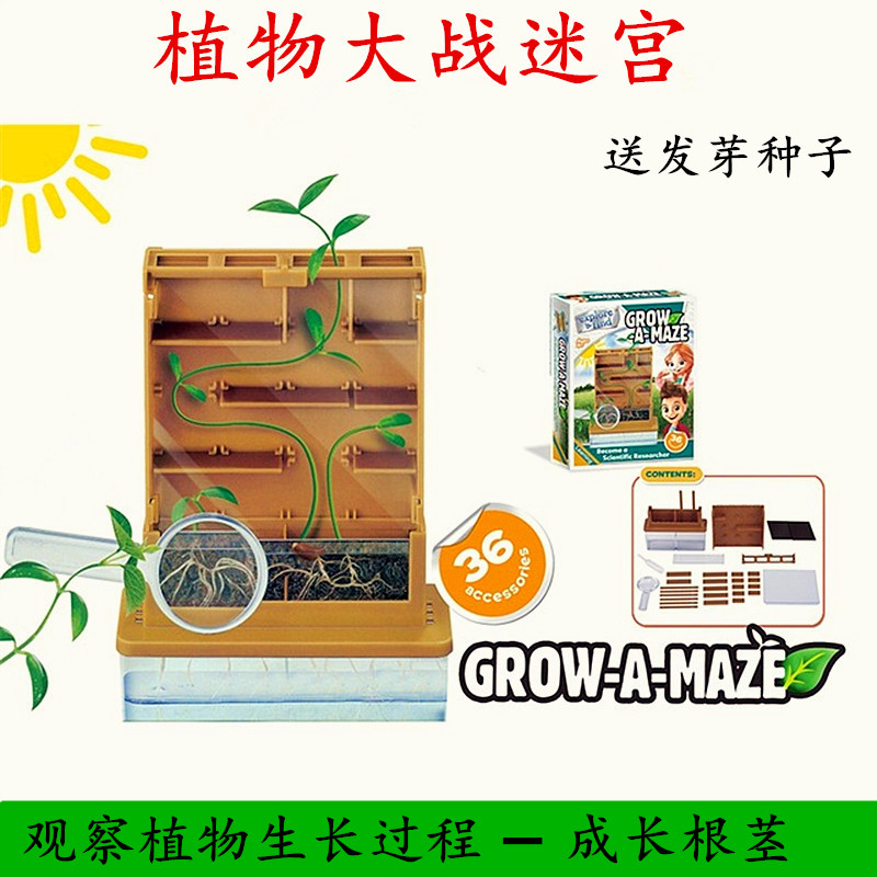 植物大战迷宫 幼儿园科学区材料 植物生长观察盒儿童益智科技制作