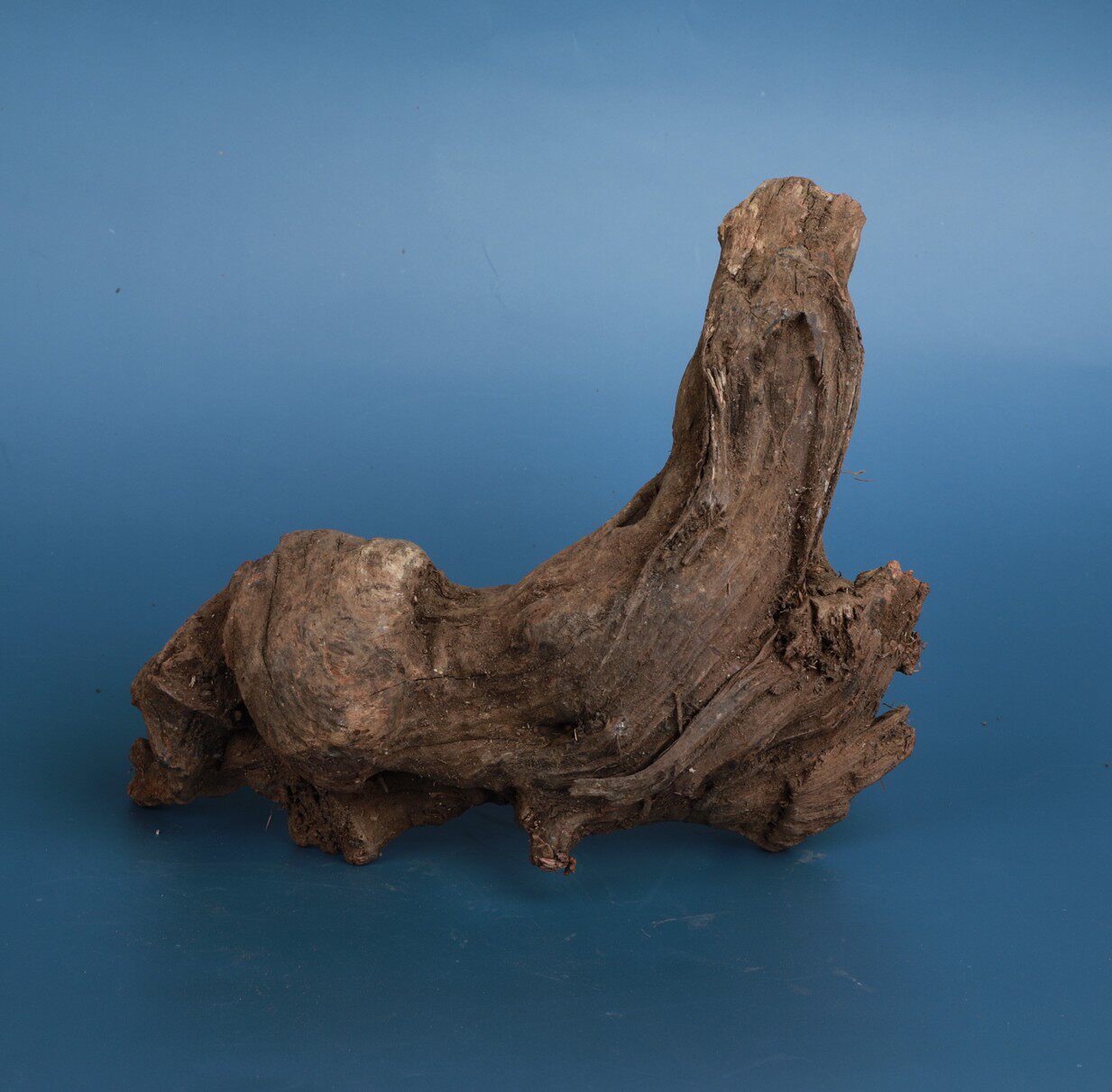 鱼缸沉木 天然 枯木造景