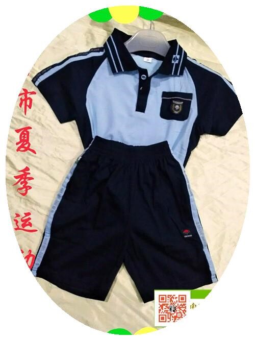 南宁市校服 中小学生夏季t恤运动装校服蓝色纯棉新希望校服 套装