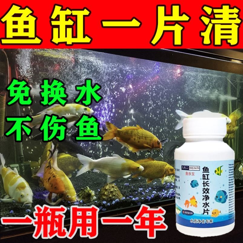 【1年不换水】鱼缸净水一片清硝化细菌水质稳定清澈神器消毒杀菌