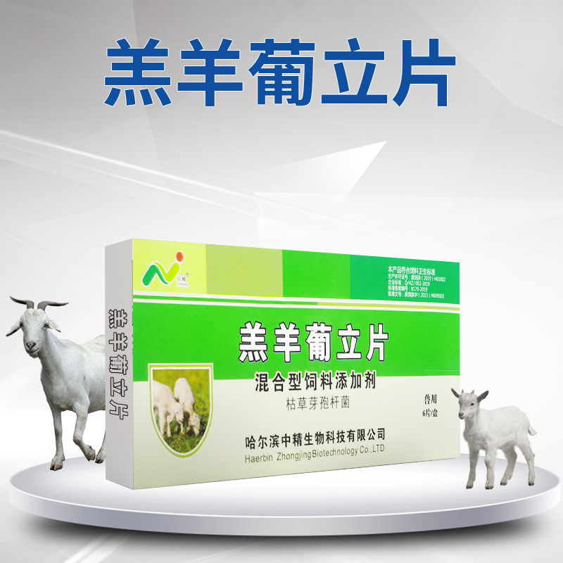 中精羔羊葡立片瘫软站立不稳强壮素乱撞不吃奶卧地不起饲料添加剂