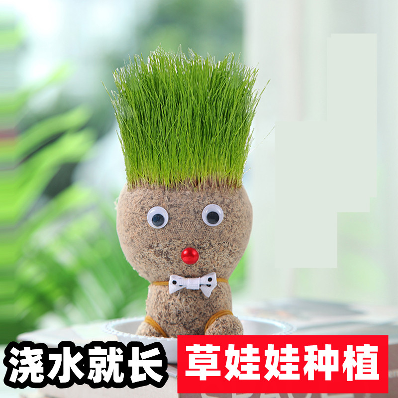 草娃娃种植长草小盆栽浇水头上草头创意网红涨张diy迷你绿植室内植物观察幼儿园儿童礼物抖音同款小学生六一在类目 电子词典/电纸书/文化用品, 其它文化用品中 - 来自Buy2taobao.com提供专业的淘宝代购服务
