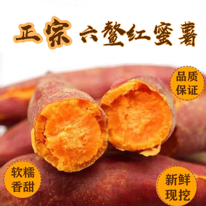 沙地红薯红蜜10斤新鲜现挖福建六鳌红心地瓜叶菜类