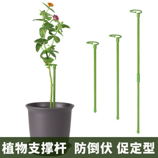 植物支撑杆园艺爬藤牵引支架防倒伏花架子朱顶红绣球蝴蝶兰固定架